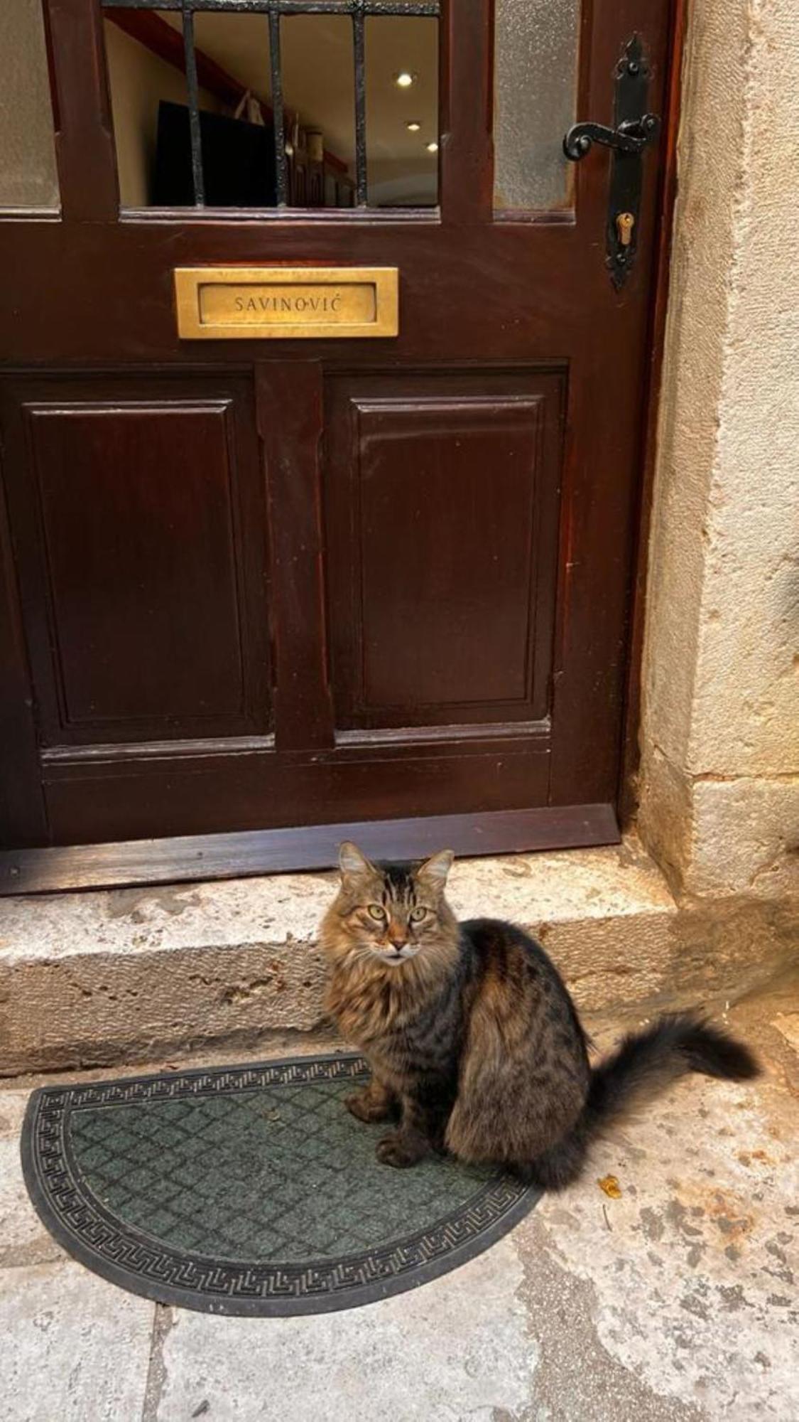 Crocant House Dubrovnik Bagian luar foto